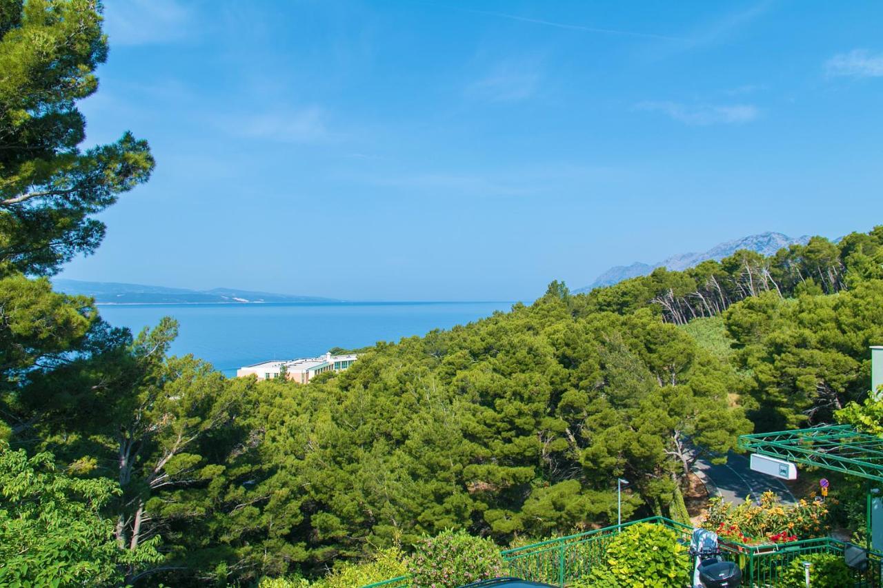 With A Parking Space Brela, Makarska - 16596 Apartment Brela