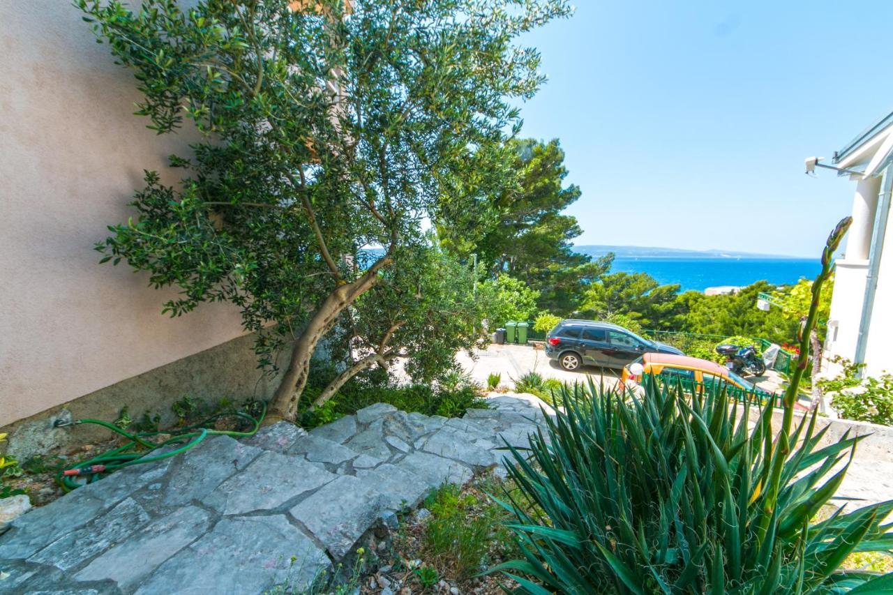 With A Parking Space Brela, Makarska - 16596 Apartment Brela