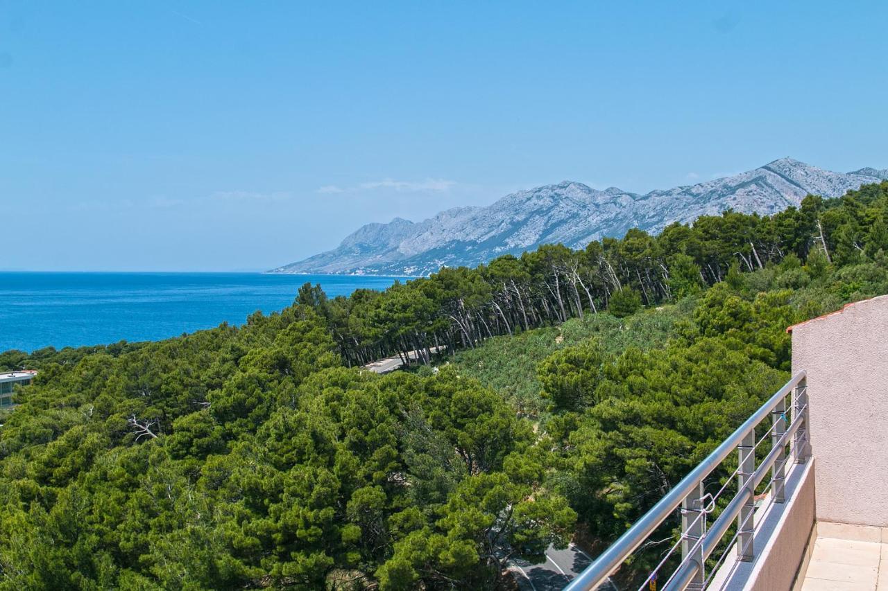 With A Parking Space Brela, Makarska - 16596 Apartment Brela
